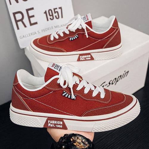 Canvas Lace Up Fashion Casual Shoes for Men