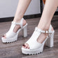 Latest Elegant High Heel Roman Party Sandals for Women