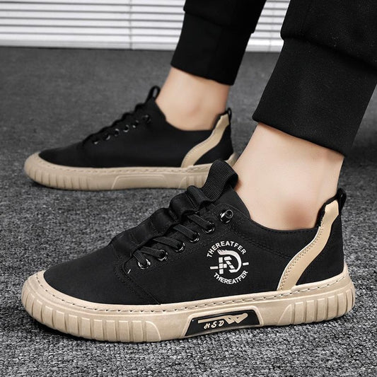 Printed Fashion Low Top Canvas Shoes for Men