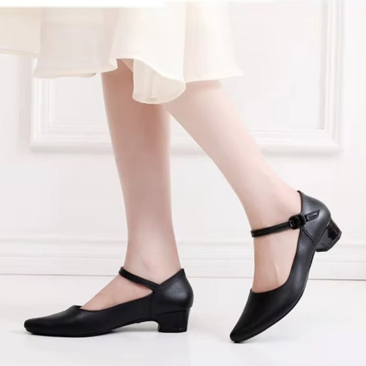 Pointed Toe Solid Summer Fit Shoes for Women