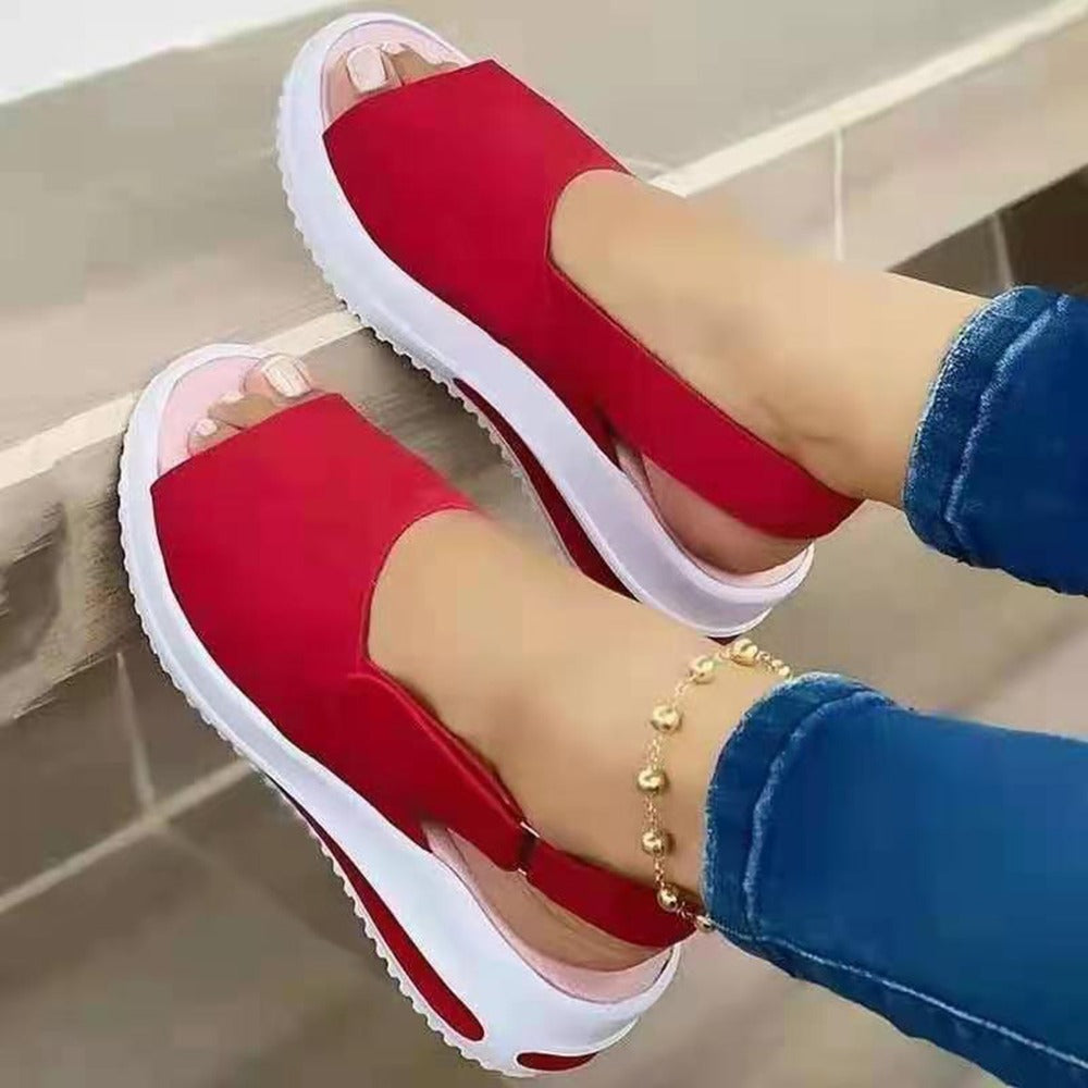 BH1113