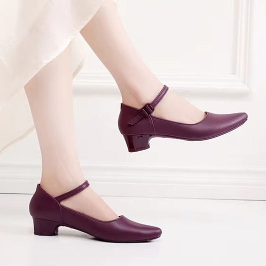 Pointed Toe Solid Summer Fit Shoes for Women