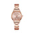 Golden Luxury Fashion Quarts Wristwatch for Women